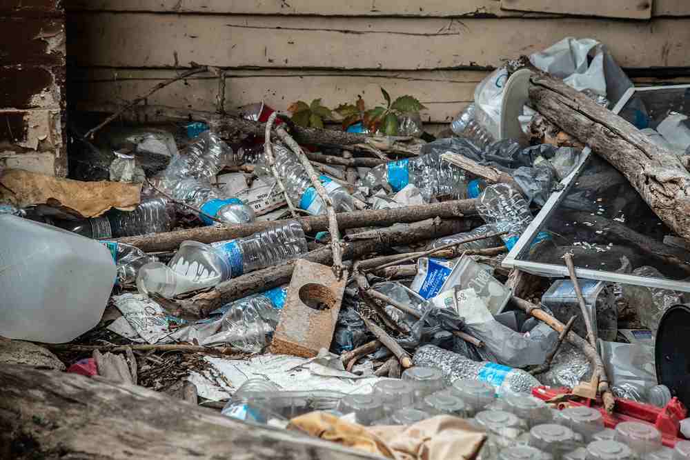 Visual and Media Arts students to showcase capstone work during multiple exhibitions